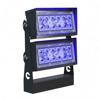 Светодиодный светильник LC 100-WALL К12 BLUE